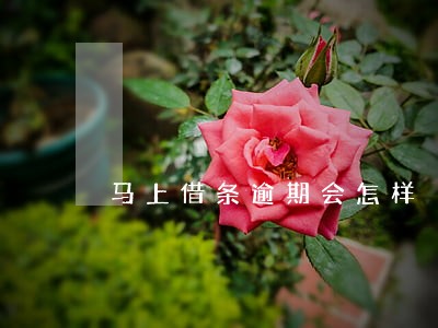 马上借条逾期会怎样 马上借条逾期会怎样