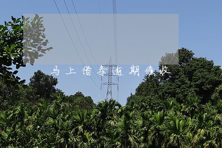 马上借条逾期催收