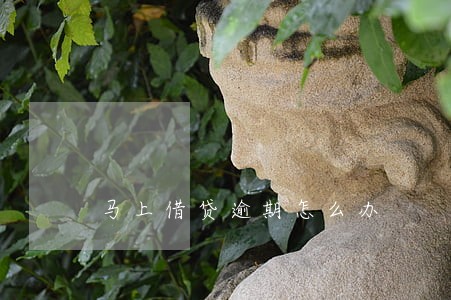 马上借贷逾期怎么办 马上借贷逾期怎么办