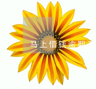 马上借钱逾期五年