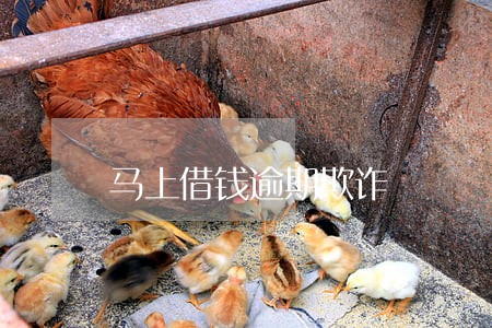 马上借钱逾期欺诈 马上借钱逾期欺诈