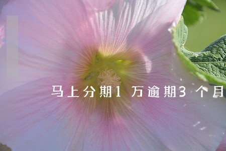 马上分期1万逾期3个月 马上分期1万逾期3个月