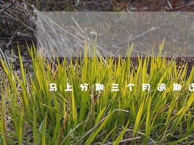 马上分期三个月逾期还能还吗 马上分期三个月逾期还能还吗