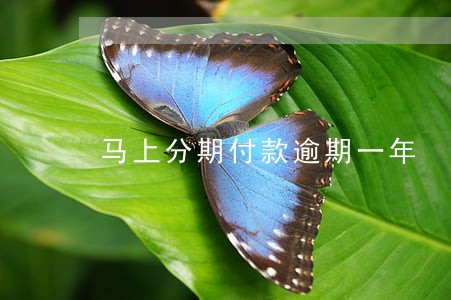 马上分期付款逾期一年 马上分期付款逾期一年