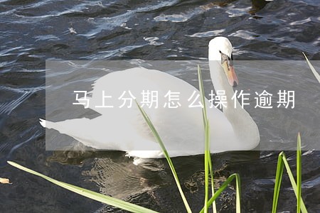 马上分期怎么操作逾期 马上分期怎么操作逾期