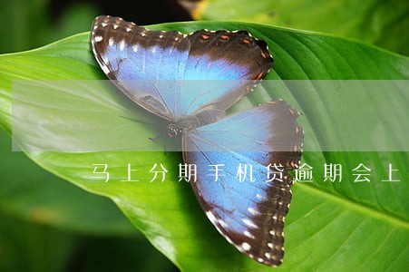 马上分期手机贷逾期会上门吗 马上分期手机贷逾期会上门吗