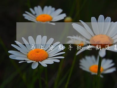 马上分期手机逾期还款后果 马上分期手机逾期还款后果