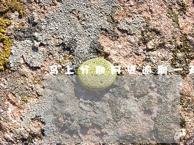 马上分期网贷逾期一天会怎么样 马上分期网贷逾期一天会怎么样
