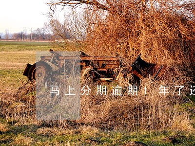 马上分期逾期1年了还能买车吗 马上分期逾期1年了还能买车吗