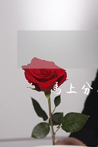 马上分期逾期5000 马上分期逾期5000