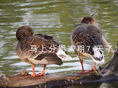 马上分期逾期7天了没打电话 马上分期逾期7天了没打电话