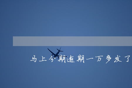 马上分期逾期一万多发了立案信息