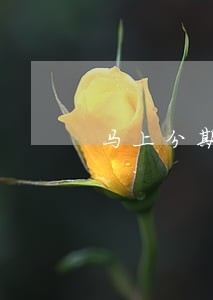 马上分期逾期一万怎么办 马上分期逾期一万怎么办