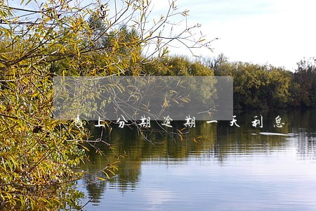 马上分期逾期一天利息 马上分期逾期一天利息
