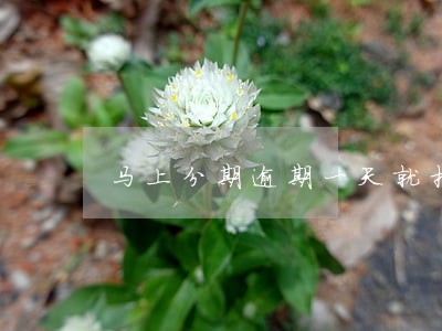 马上分期逾期一天就扣违约金