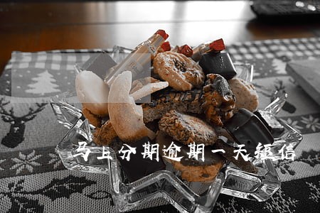 马上分期逾期一天短信 马上分期逾期一天短信