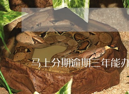 马上分期逾期三年能办车贷吗 马上分期逾期三年能办车贷吗