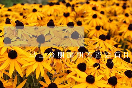 马上分期逾期不还会有什么后果 马上分期逾期不还会有什么后果