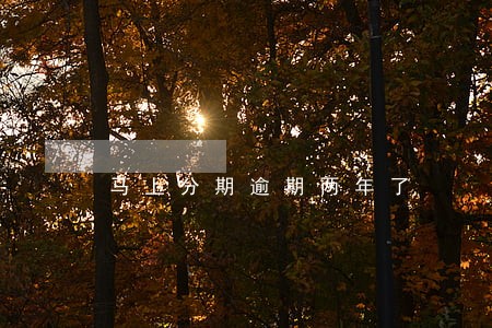 马上分期逾期两年了 马上分期逾期两年了