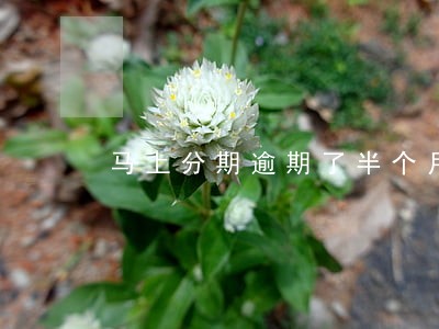 马上分期逾期了半个月了 马上分期逾期了半个月了