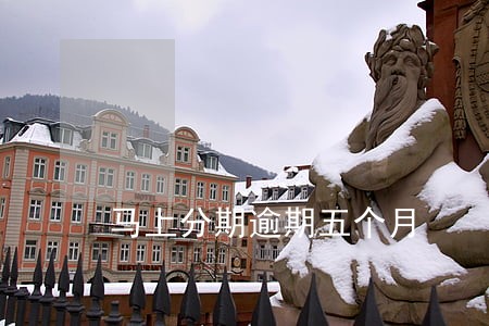 马上分期逾期五个月 马上分期逾期五个月
