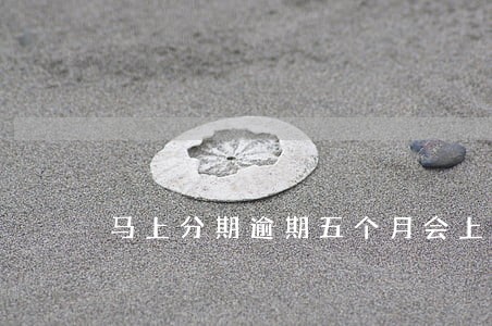 马上分期逾期五个月会上门吗 马上分期逾期五个月会上门吗