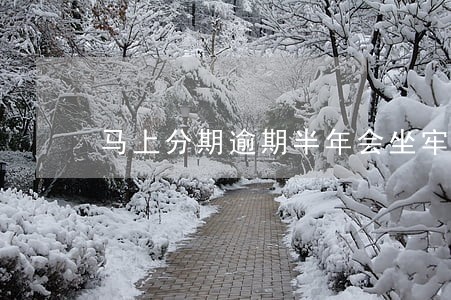 马上分期逾期半年会坐牢吗 马上分期逾期半年会坐牢吗