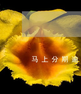 马上分期逾期后该如何归还本金 马上分期逾期后该如何归还本金