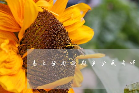 马上分期逾期多少天有滞纳金 马上分期逾期多少天有滞纳金