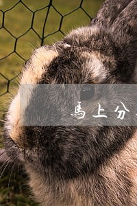 马上分期逾期查询 马上分期逾期查询