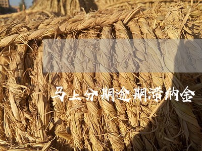 马上分期逾期滞纳金 马上分期逾期滞纳金