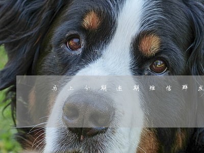 马上分期逾期短信群发吗 马上分期逾期短信群发吗