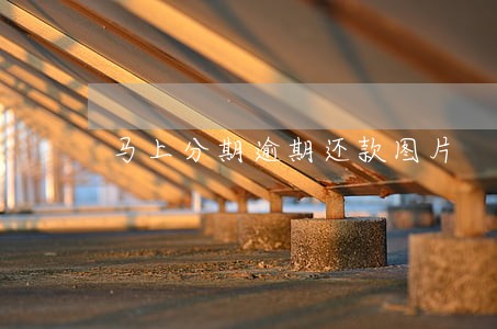 马上分期逾期还款图片 马上分期逾期还款图片