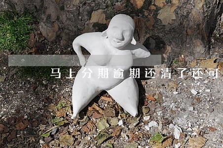 马上分期逾期还清了还可以办吗 马上分期逾期还清了还可以办吗