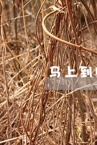 马上到账平台融资逾期 马上到账平台融资逾期