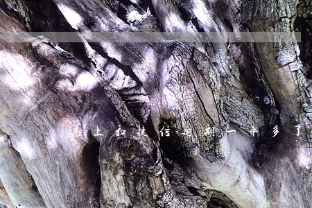 马上和捷信逾期一年多了消除了 马上和捷信逾期一年多了消除了