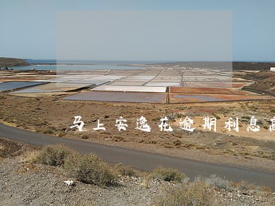 马上安逸花逾期利息高吗 马上安逸花逾期利息高吗