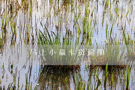 马上小赢卡贷逾期 马上小赢卡贷逾期