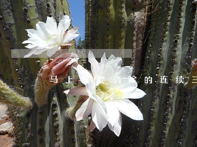 马上就要消除的连续三次逾期 马上就要消除的连续三次逾期