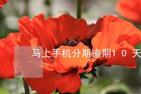 马上手机分期逾期10天