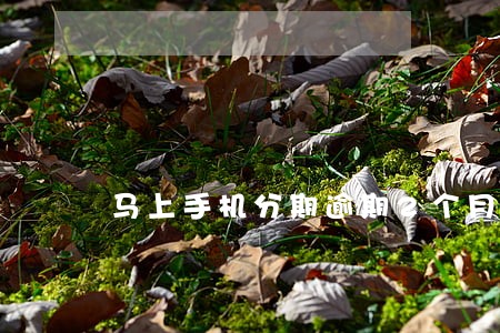 马上手机分期逾期2个月 马上手机分期逾期2个月