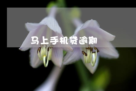 马上手机贷逾期 马上手机贷逾期