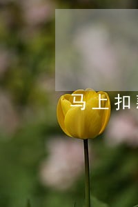 马上扣款失败逾期