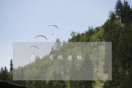 马上有钱逾期 马上有钱逾期