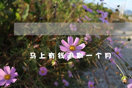 马上有钱逾期一个月 马上有钱逾期一个月