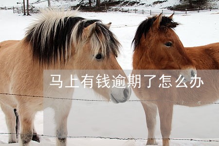 马上有钱逾期了怎么办 马上有钱逾期了怎么办