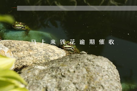 马上来钱花逾期催收 马上来钱花逾期催收