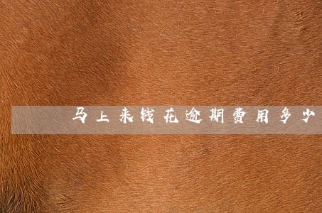 马上来钱花逾期费用多少 马上来钱花逾期费用多少
