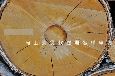 马上消贷款逾期怎样申请利息减免