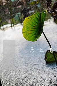 马上消费8000逾期 马上消费8000逾期
